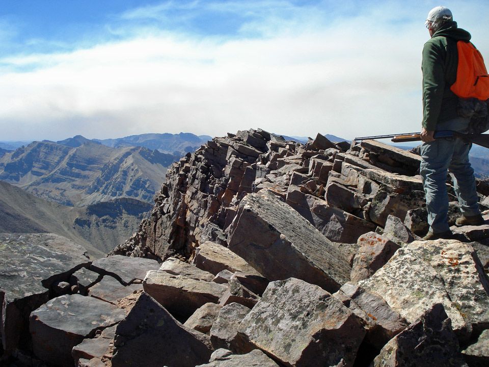 Utah Ptarmigan Hunting for Dummies Utah Wildlife Forum